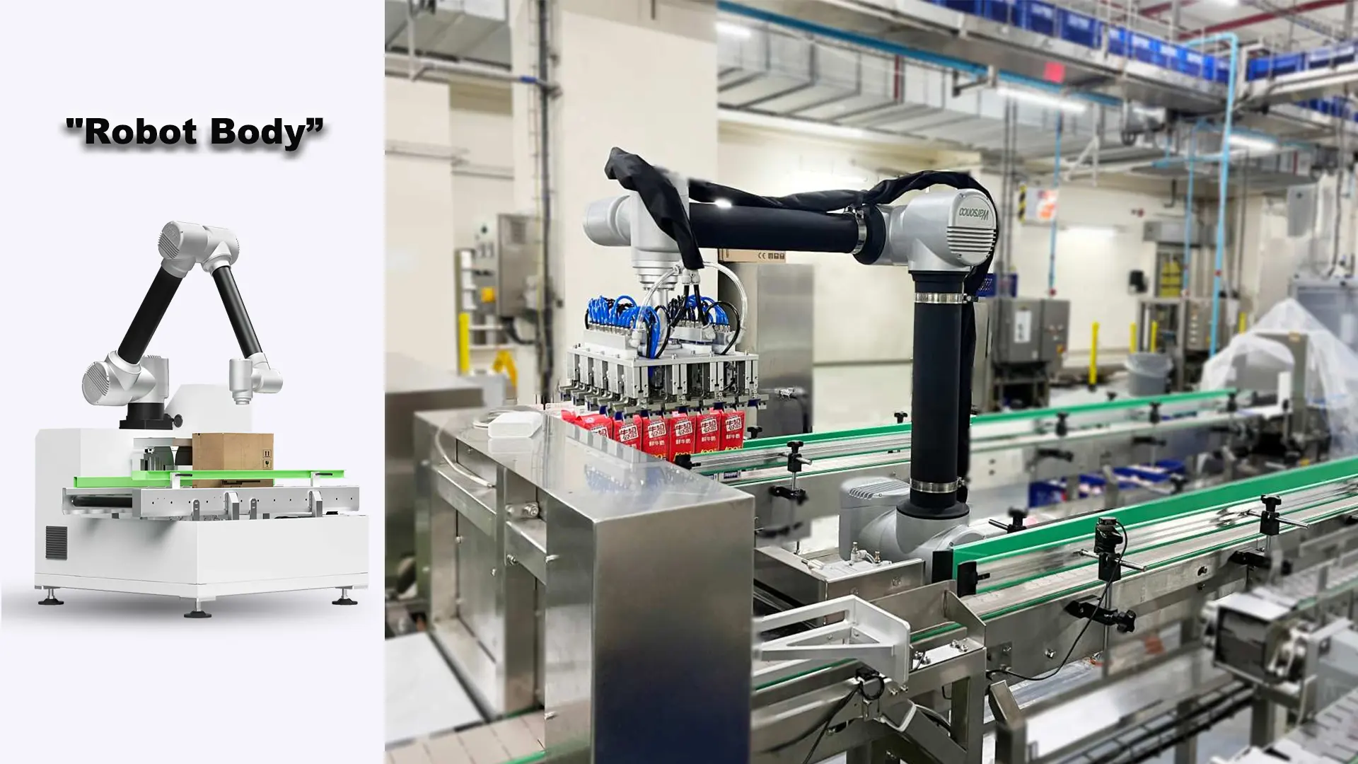 Collaborative Robot (Cobot)