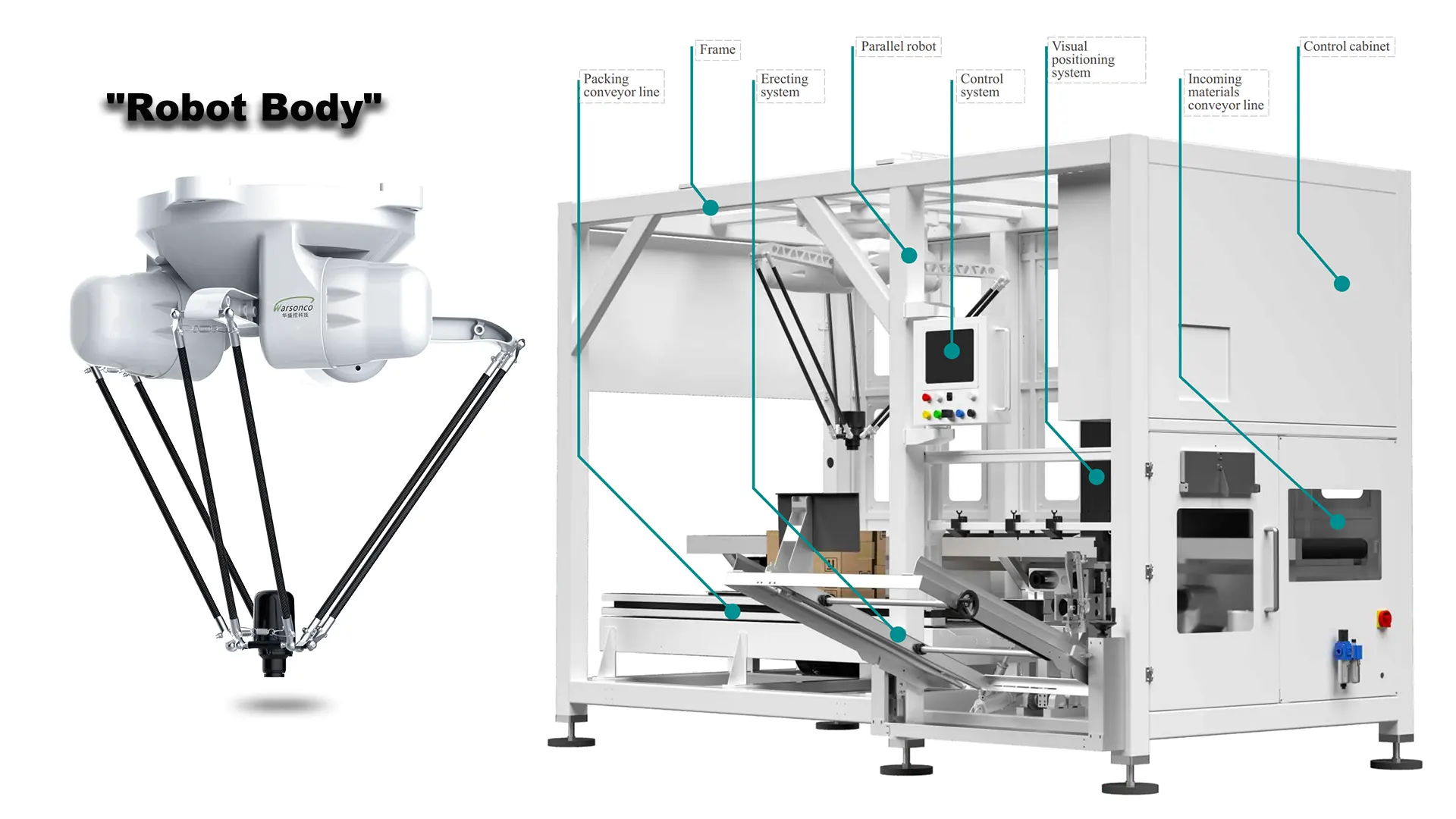 Parallel Continuum Robots Collaborative Robotics in Packaging